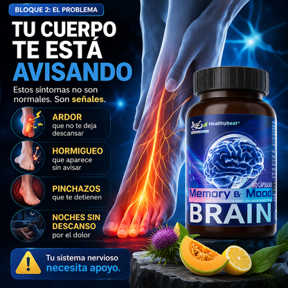 Memory & Mood Brain-Repara tus nervios y elimina el hormigueo desde la raíz